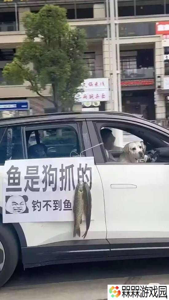 极乐软件园