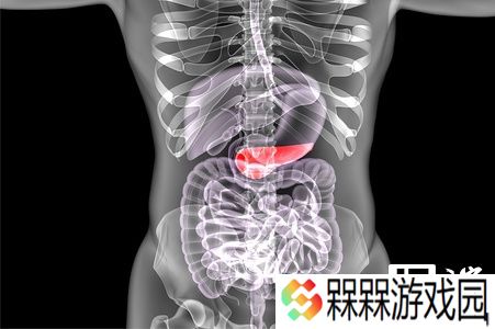 科研团队成功使用定制生物墨水 3D 打印出人类胰岛细胞组织，为治疗 Ⅰ 型糖尿病带来新希望