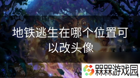 地铁逃生在哪个在哪里可以改头像
