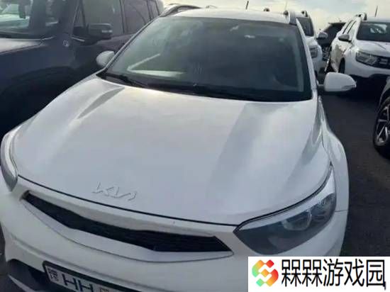 多名中国游客称冰岛租车遭天价索赔 租车平台回应