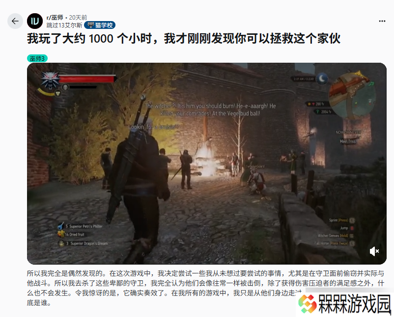 巫师3 狂猎玩家发现隐藏剧情，术士拯救引发连锁反应