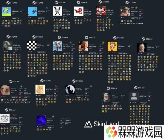 V社员工Steam账号调查 仅19人CS2账号处于活跃状态