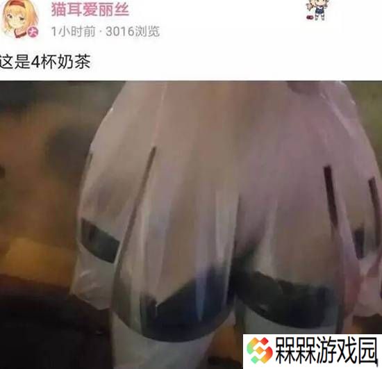 不叫姐姐可以叫lp吗？圣女与哥布林的囧图