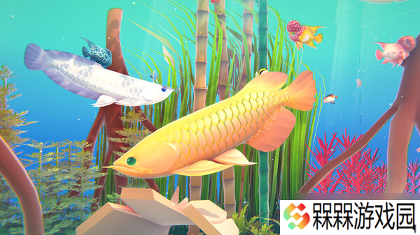 设计水族馆游戏《Fishplay》7月31日正式发布
